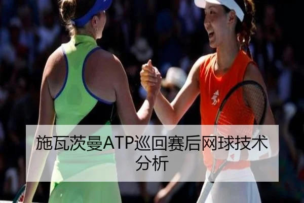 施瓦茨曼ATP巡回赛后网球技术分析